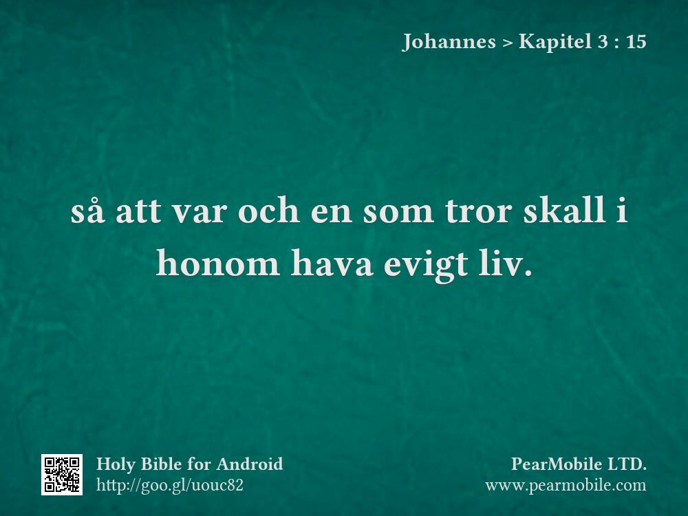 Johannes, Kapitel 3:15